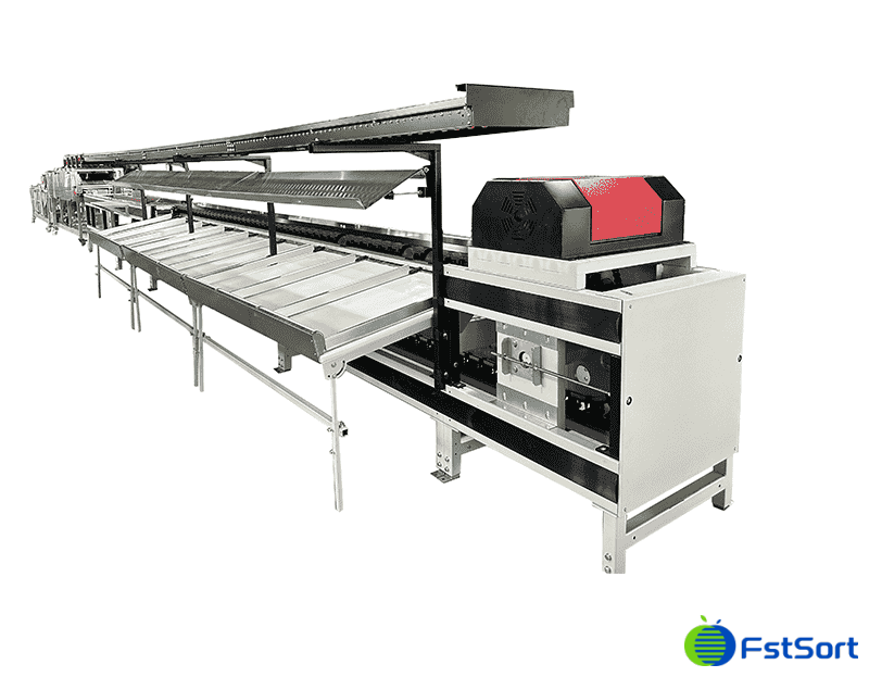 images/1748507802503weight sorting of figs.png